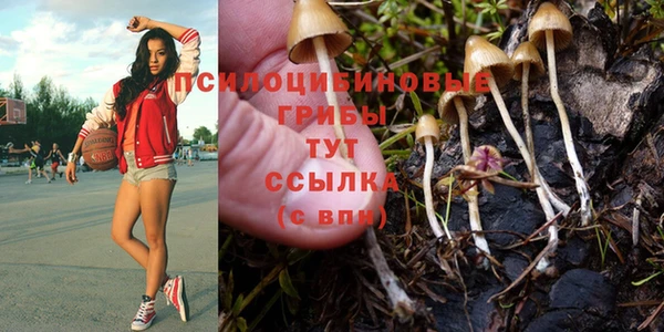 a pvp Арсеньев