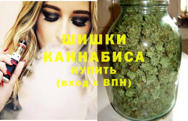 ПСИЛОЦИБИНОВЫЕ ГРИБЫ Аркадак